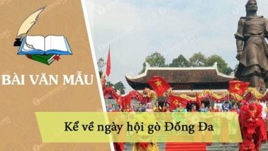 ke ve ngay hoi go dong da 390x220 1 ke ve ngay hoi go dong da 390x220 1