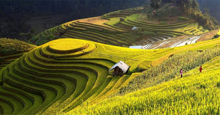 ki nghi 1 ki nghi 1