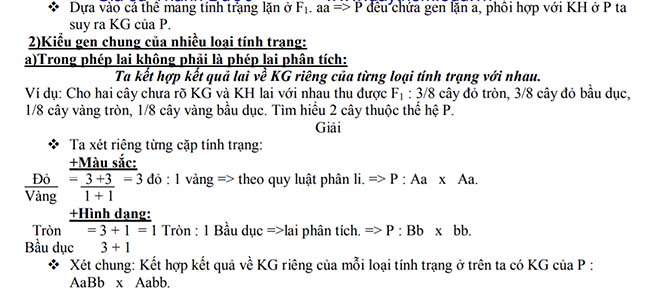 Kiểu gen chung của nhiều loại tính trạng