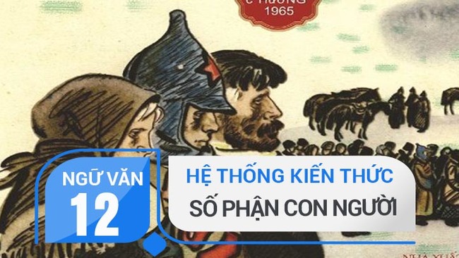 kien thuc bai so phan con nguoi so lo khop rs650 2 kien thuc bai so phan con nguoi so lo khop rs650 2