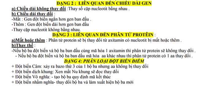 LIÊN QUAN ĐẾN CHIỀU DÀI GEN