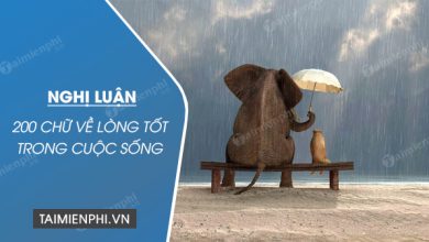 nghi luan 200 chu ve long tot trong cuoc song 390x220 1 nghi luan 200 chu ve long tot trong cuoc song 390x220 1