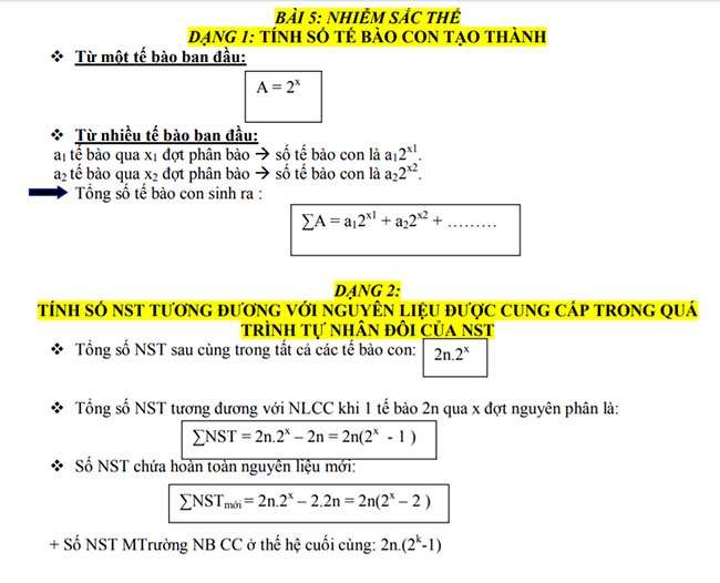 NHIỄM SẮC THỂ