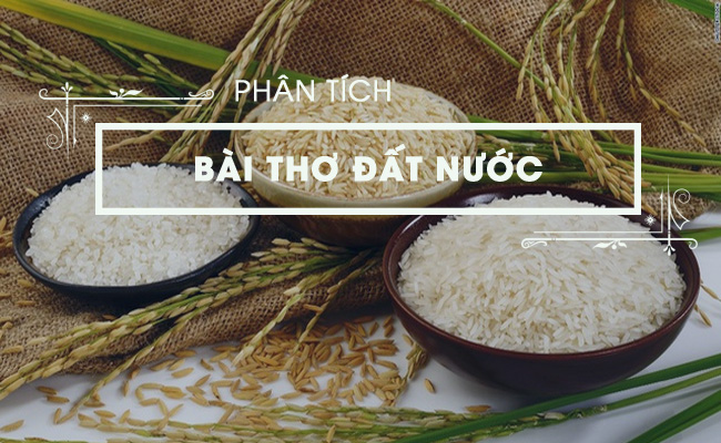 phan tich dat nuoc cua nguyen khoa diem