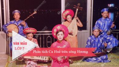 phan tich ca hue tren song huong 390x220 1 phan tich ca hue tren song huong 390x220 1