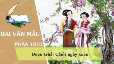 phan tich doan trich canh ngay xuan 390x220 1 phan tich doan trich canh ngay xuan 390x220 1