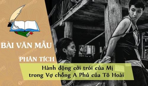 phan tich hanh dong coi troi cua mi trong vo chong a phu cua to hoai