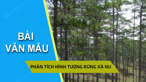 Y nghia cua nhan de va hinh tuong cay xa nu trong truyen ngan Rung xa nu