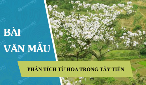 phan tich tu hoa trong bai tay tien