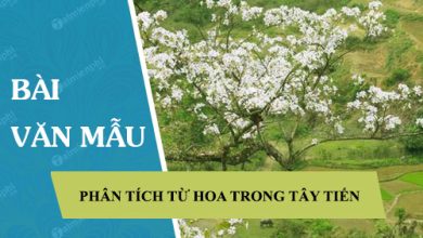 phan tich tu hoa trong bai tay tien 390x220 1 phan tich tu hoa trong bai tay tien 390x220 1