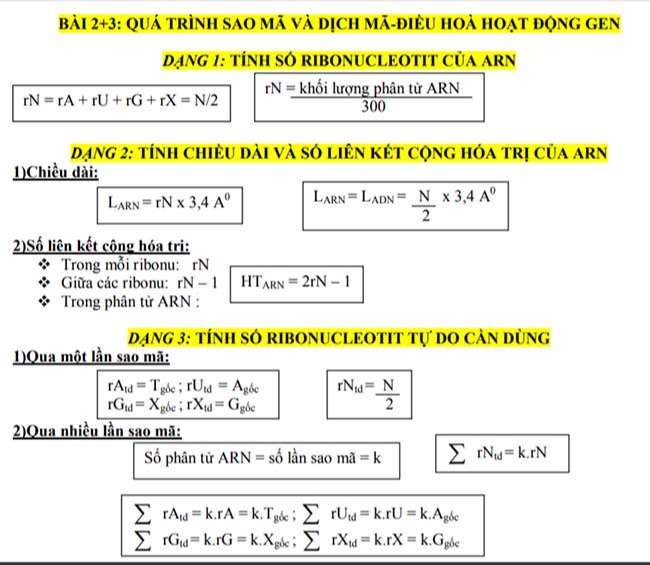 QUÁ TRÌNH SAO MÃ VÀ DỊCH MÃ-ĐIỀU HOÀ HOẠT ĐỘNG GEN