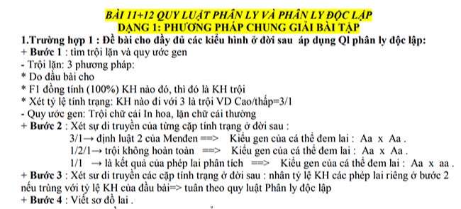 QUY LUẬT PHÂN LY VÀ PHÂN LY ĐỘC LẬP