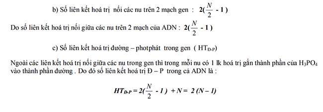 Số liên kết hoá trị nối các nu trên 2 mạch gen