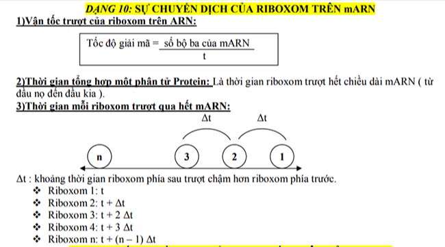 SỰ CHUYỂN DỊCH CỦA RIBOXOM TRÊN mARN