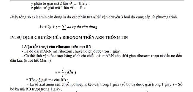 SỰ DỊCH CHUYỂN CỦA RIBOXOM TRÊN ARN THÔNG TIN