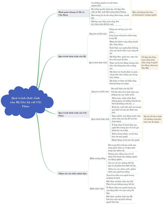 Sơ đồ tư duy cảm nhận quá trình thức tỉnh của Mị liên hệ với Chí Phèo