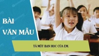 ta mot ban hoc cua em 390x220 1 ta mot ban hoc cua em 390x220 1