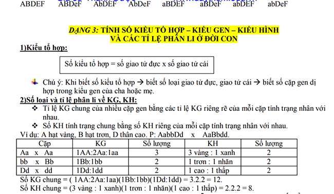 TÍNH SỐ KIỂU TỔ HỢP – KIỂU GEN – KIỂU HÌNH
VÀ CÁC TỈ LỆ PHÂN LI Ở ĐỜI CON