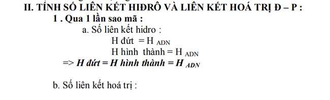 TÍNH SỐ LIÊN KẾT HIĐRÔ VÀ LIÊN KẾT HOÁ TRỊ Đ – P