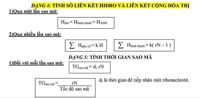 TÍNH SỐ LIÊN KẾT HIDRO VÀ LIÊN KẾT CỘNG HÓA TRỊ