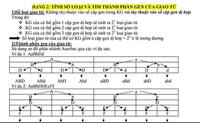 TÍNH SỐ LOẠI VÀ TÌM THÀNH PHẦN GEN CỦA GIAO TỬ