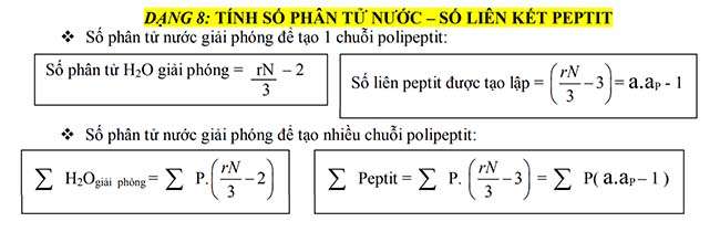 TÍNH SỐ PHÂN TỬ NƯỚC – SỐ LIÊN KẾT PEPTIT