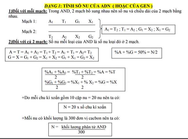 Tính số Nu của ADN (Hoặc của Gen)