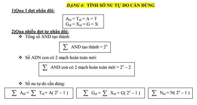 Tính số Nu tự do cần dùng