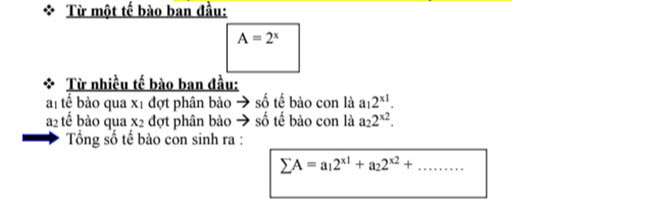 Tính số tế bào con tạo thành