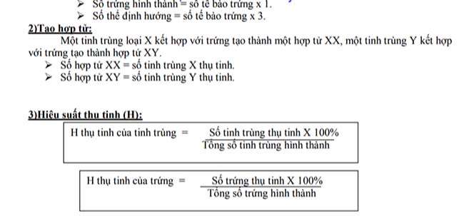 Tạo hợp tử