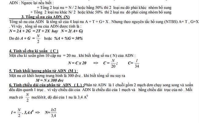 te1bb95ng se1bb91 nu ce1bba7a adn 1 te1bb95ng se1bb91 nu ce1bba7a adn 1