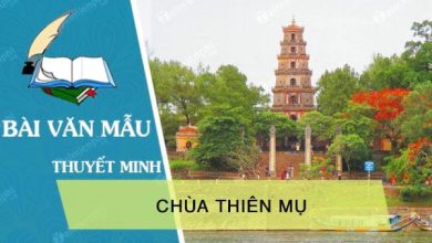 thuyet minh ve chua thien mu 390x220 1 thuyet minh ve chua thien mu 390x220 1