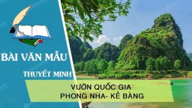 thuyet minh ve vuon quoc gia phong nha ke bang 390x220 1 thuyet minh ve vuon quoc gia phong nha ke bang 390x220 1