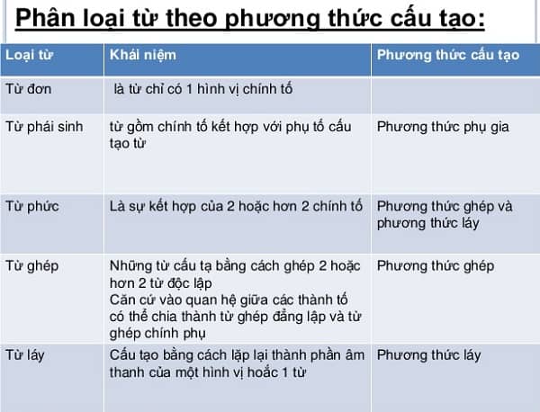 Từ và cấu tạo của từ