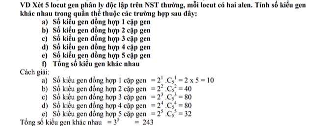 VD Xét 5 locut gen phân ly độc lập trên NST thường