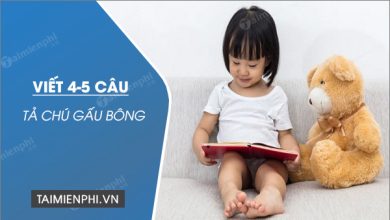 viet 4 5 cau ta chu gau bong 390x220 1 viet 4 5 cau ta chu gau bong 390x220 1