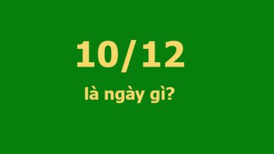 1012 la ngay gi 390x220 1 1012 la ngay gi 390x220 1