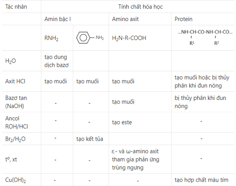 tính chất của Amin, Amino axit và Protein