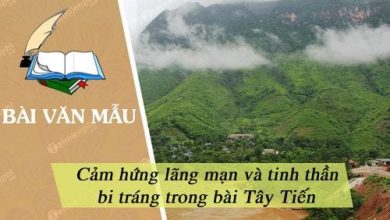 1649400305 Cam hung lang man va tinh than bi trang trong 390x220 1 1649400305 Cam hung lang man va tinh than bi trang trong 390x220 1