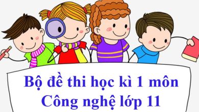 1664706513 Bo de thi hoc ki 1 mon Cong nghe lop 390x220 1 1664706513 Bo de thi hoc ki 1 mon Cong nghe lop 390x220 1