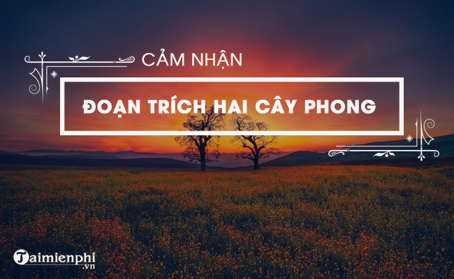 cam nhan doan trich hai cay phong