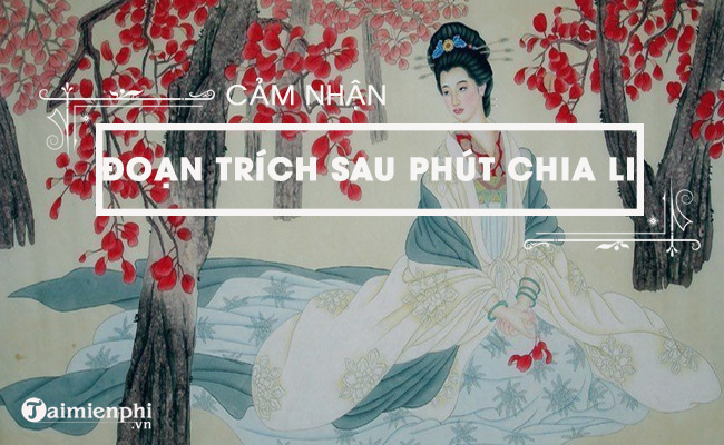 cam nhan doan trich sau phut chia li