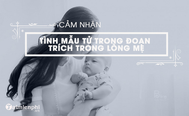 bai van cam nhan ve tinh mau tu trong doan trich trong long me