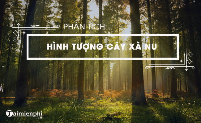 phan tich hinh tuong cay xa nu