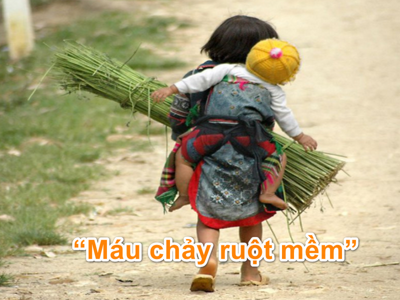 “Máu chảy ruột mềm”