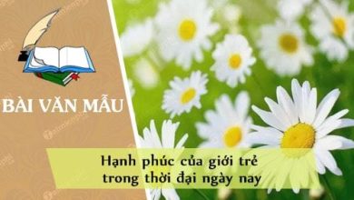 Bay to suy nghi ve Hanh phuc cua gioi tre 390x220 1 Bay to suy nghi ve Hanh phuc cua gioi tre 390x220 1