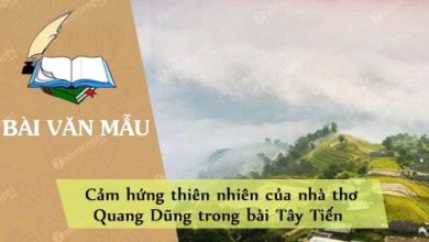 Cam hung thien nhien cua nha tho Quang Dung trong 390x220 1 Cam hung thien nhien cua nha tho Quang Dung trong 390x220 1