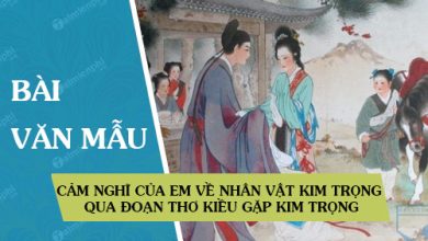 Cam nghi cua em ve nhan vat Kim Trong qua 390x220 1 Cam nghi cua em ve nhan vat Kim Trong qua 390x220 1