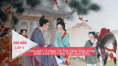 Cam nghi ve nhan vat Ma Giam Sinh trong doan 390x220 1 Cam nghi ve nhan vat Ma Giam Sinh trong doan 390x220 1