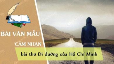 Cam nhan ve bai tho Di duong cua Ho Chi 390x220 1 Cam nhan ve bai tho Di duong cua Ho Chi 390x220 1